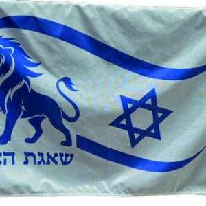 דגל "שאגת הארי" 110*80 סמ